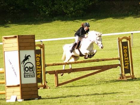 Anden særlig race Flying Fellow <3 *R.I.P* - Morsø 06  (savner dig) billede 5