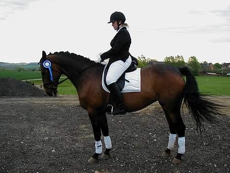 Dansk Varmblod Jolie - Trine og Jolie med en flot 2. plads billede 17