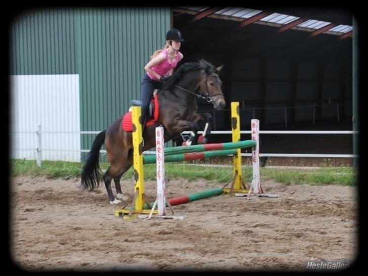 New Forest Strandagers Makenzy *SOLGT* - Makenzy som spring pony :D Taget af: Min mor <3 billede 3
