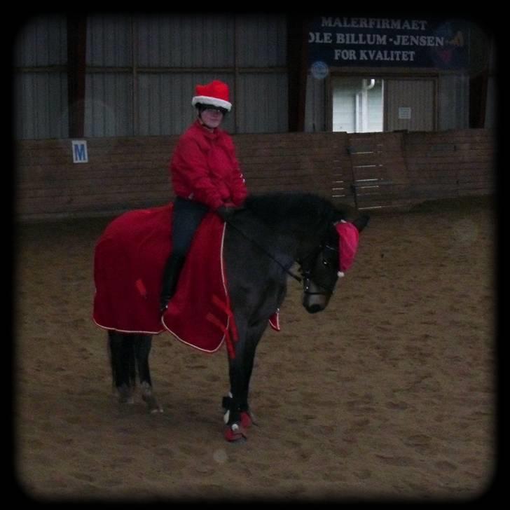 New Forest Strandagers Makenzy *SOLGT* - Et super godt jule team :D. Taget af: Min mor <3 billede 4