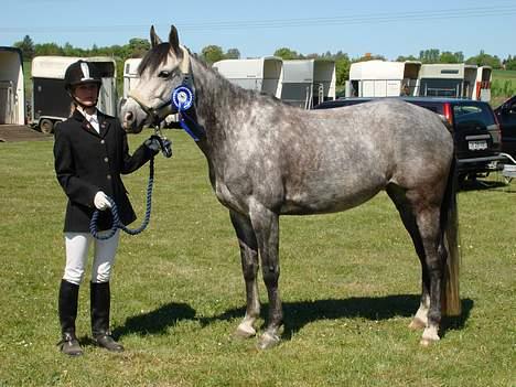 DSP West Side Sweet Babati  - Dressur stævne i Nvr den 4. maj. Vi blev nr.2 i Lc2 :) billede 9