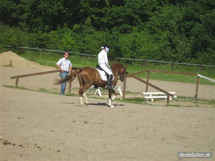 Welsh Pony (sec B) Lykkes chester<33 - mig og min ridelærer Mads Jakobsen (: billede 13