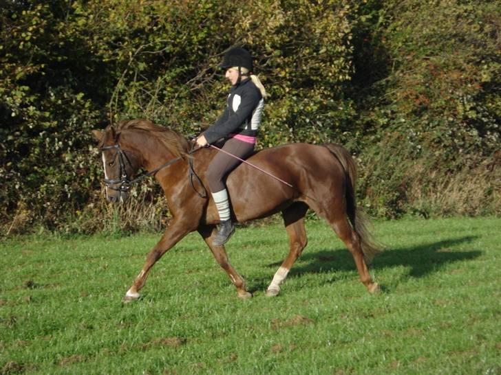 Anden særlig race Malaika R.I.P - så er vi igang igen - september 09´ (: billede 16