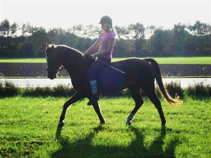 Anden særlig race Malaika R.I.P - så er vi igang igen - september 09´ (: billede 18