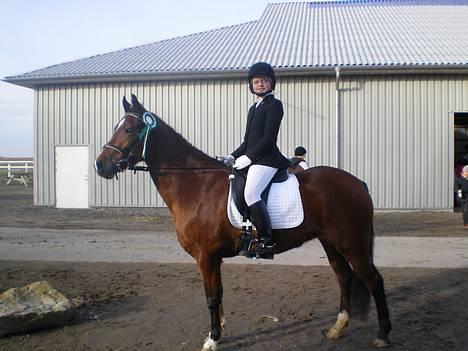 Anden særlig race Shakira "SOLGT :(!" - stævne i Januar 2007 billede 6