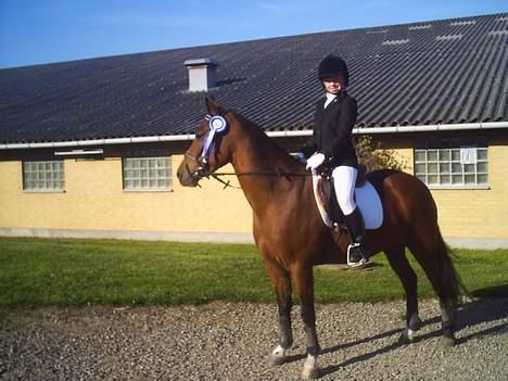 Anden særlig race Shakira "SOLGT :(!" - 2.plads..   i STBR billede 11