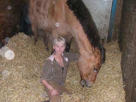 Anden særlig race samson [ SOLGT ] - den er samson & miig i hans boks billede 9