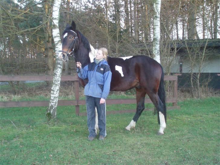 Pinto Korshøjs Wholly Cæsar - Mig og smukke Cæsar (30.01) billede 13