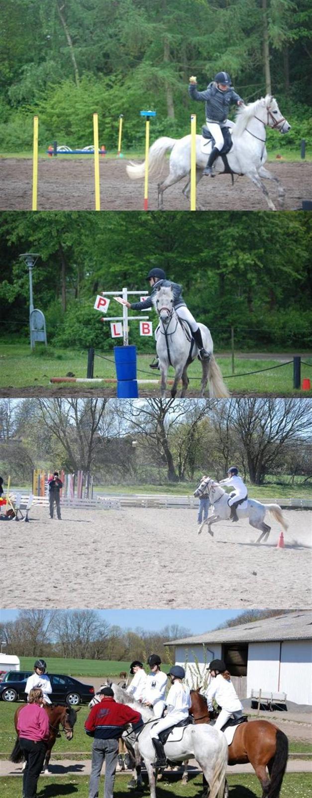 Anden særlig race Dyrkærgård Sping Sky - Kvalifikation til DM PonyGames.. alle tre kvalifikationer.  billede 9