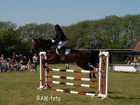 Oldenborg Smilla Stream Valley - 05.05.07- foto Anika taaak :D billede 6