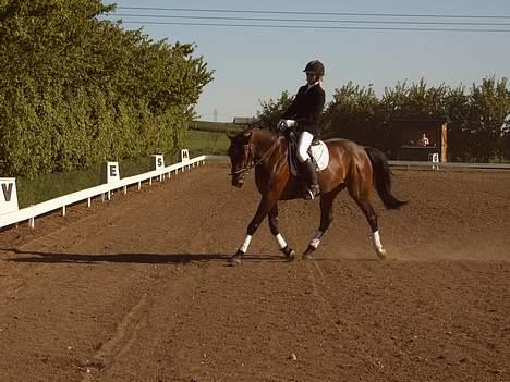 Oldenborg Smilla Stream Valley - 04.05.07- foto nadja taak :d billede 9