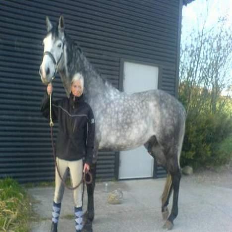 Oldenborg SilverStone billede 6