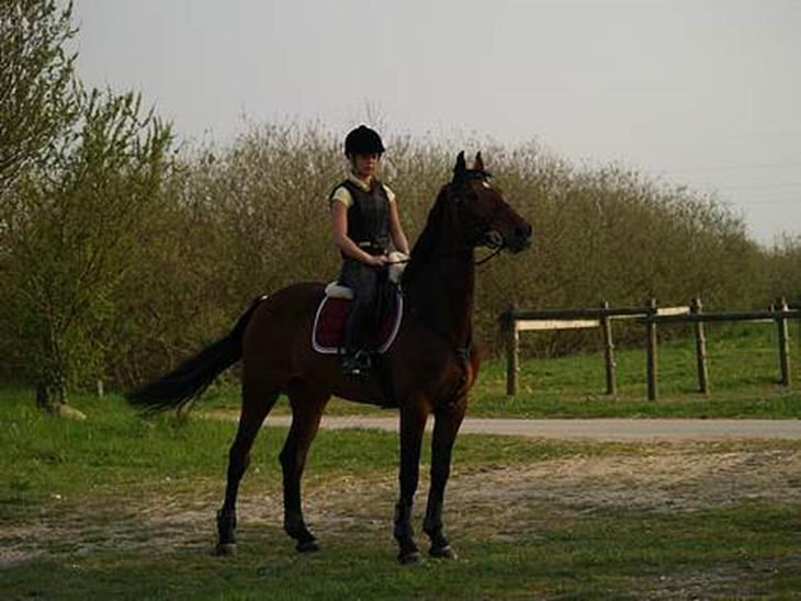 {{currentPhoto.altText}} billede {{currentPhoto.number}}