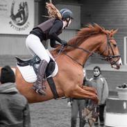 Frederiksborg Søndergaard's Maison