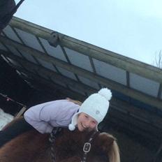 Shetlænder Ovesgårdsmindes Agathe (bliver kaldt Gamle)