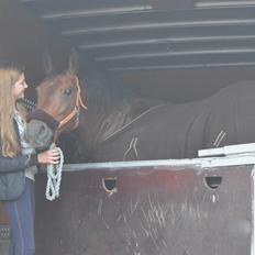 Anden særlig race Linka