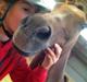 New Forest Jordy<3