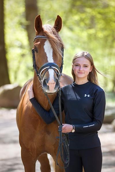 Welsh Cob (sec D) Fredsbos Twandon billede 1