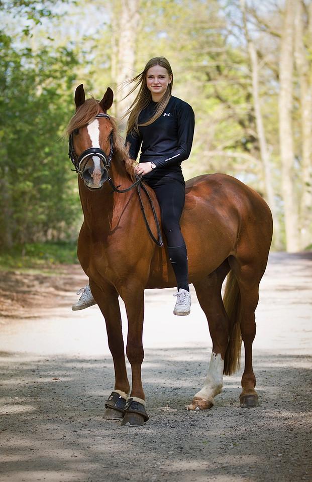 Welsh Cob (sec D) Fredsbos Twandon billede 18