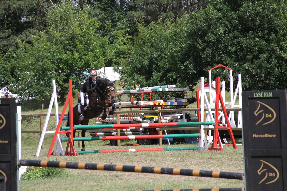 New Forest Egeballe's Lotus billede 3