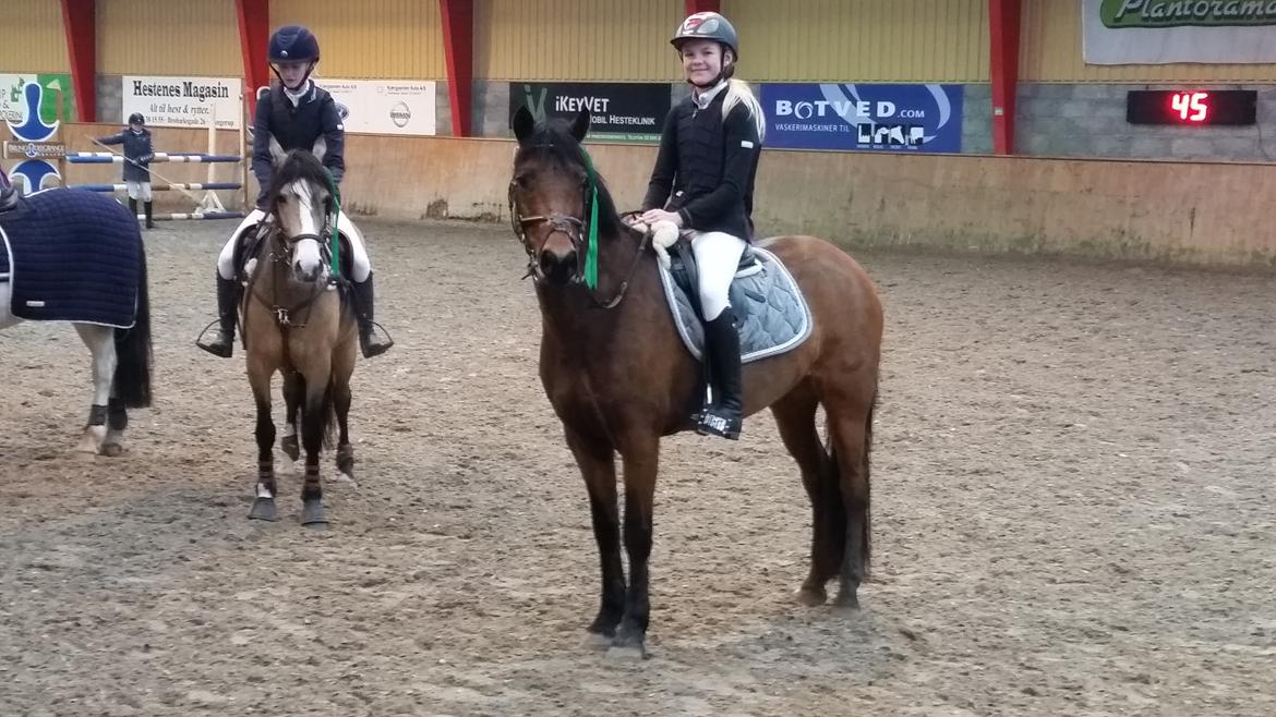 New Forest Romeo`s Isa billede 7