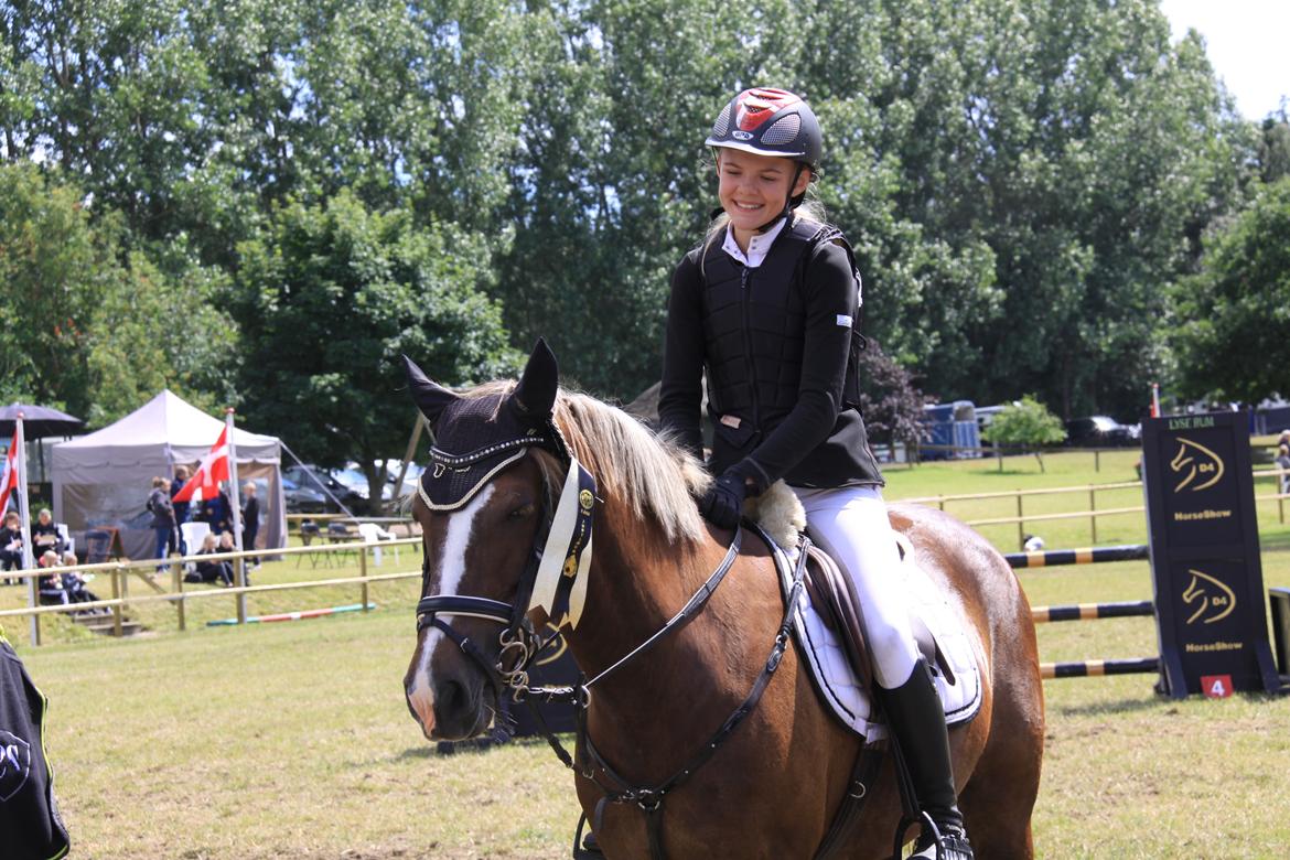 New Forest Romeo´s Hirse billede 3