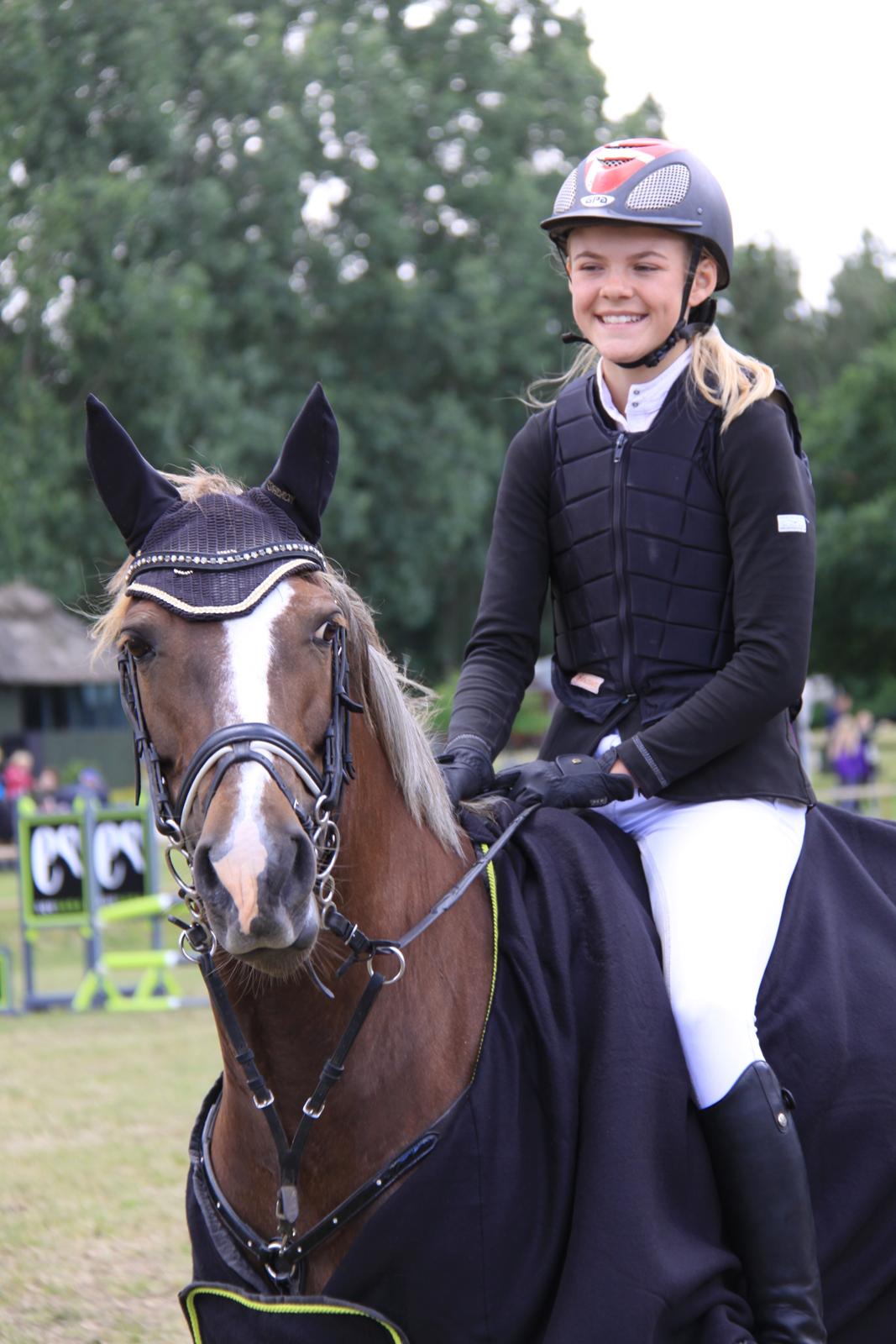 New Forest Romeo´s Hirse - Hirse vinder bronze finale billede 1