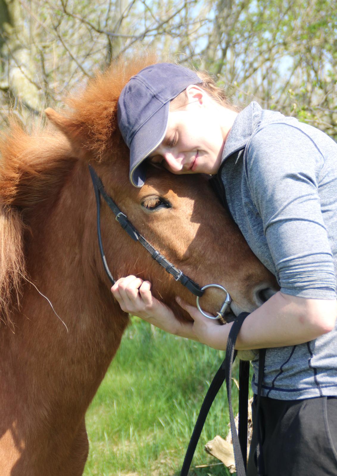 Islænder Röskva fra Dejbjerg - Februar 2016 billede 10