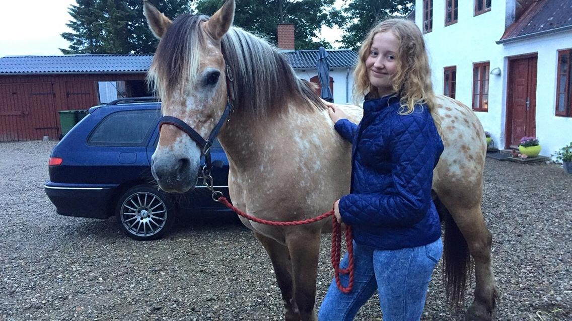 Anden særlig race Fjotte billede 12