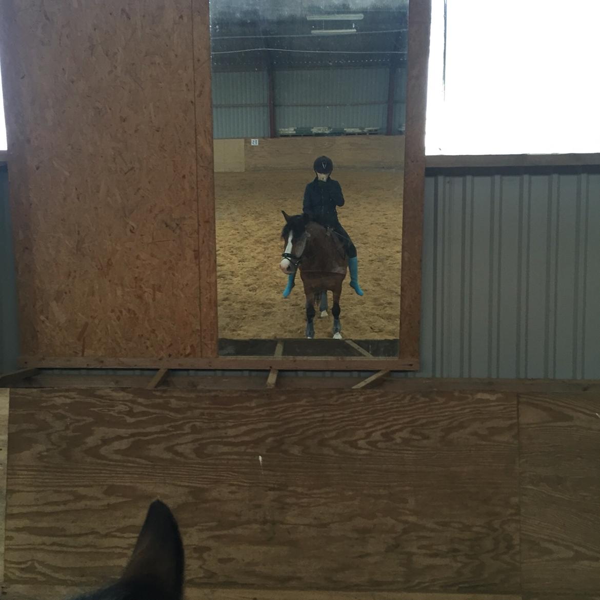 DSP Bæklunds Laredo billede 18