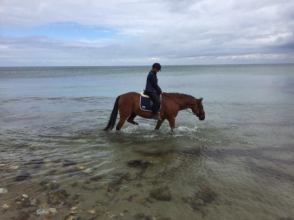 Traver Cæcar billede 35