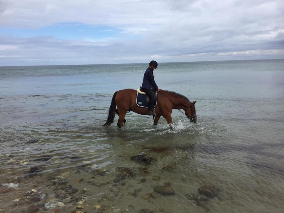 Traver Cæcar billede 36