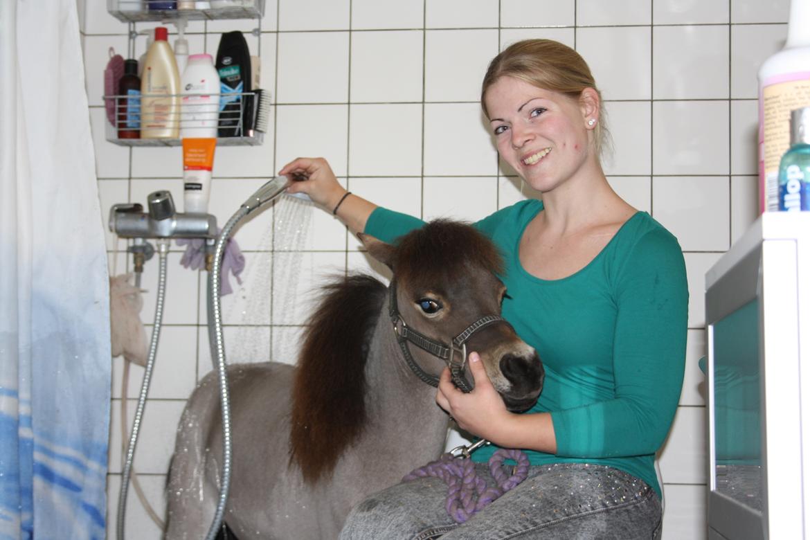 Belgisk Miniature Høgilds Kalua billede 21