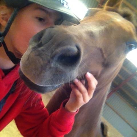 New Forest Jordy<3 billede 1