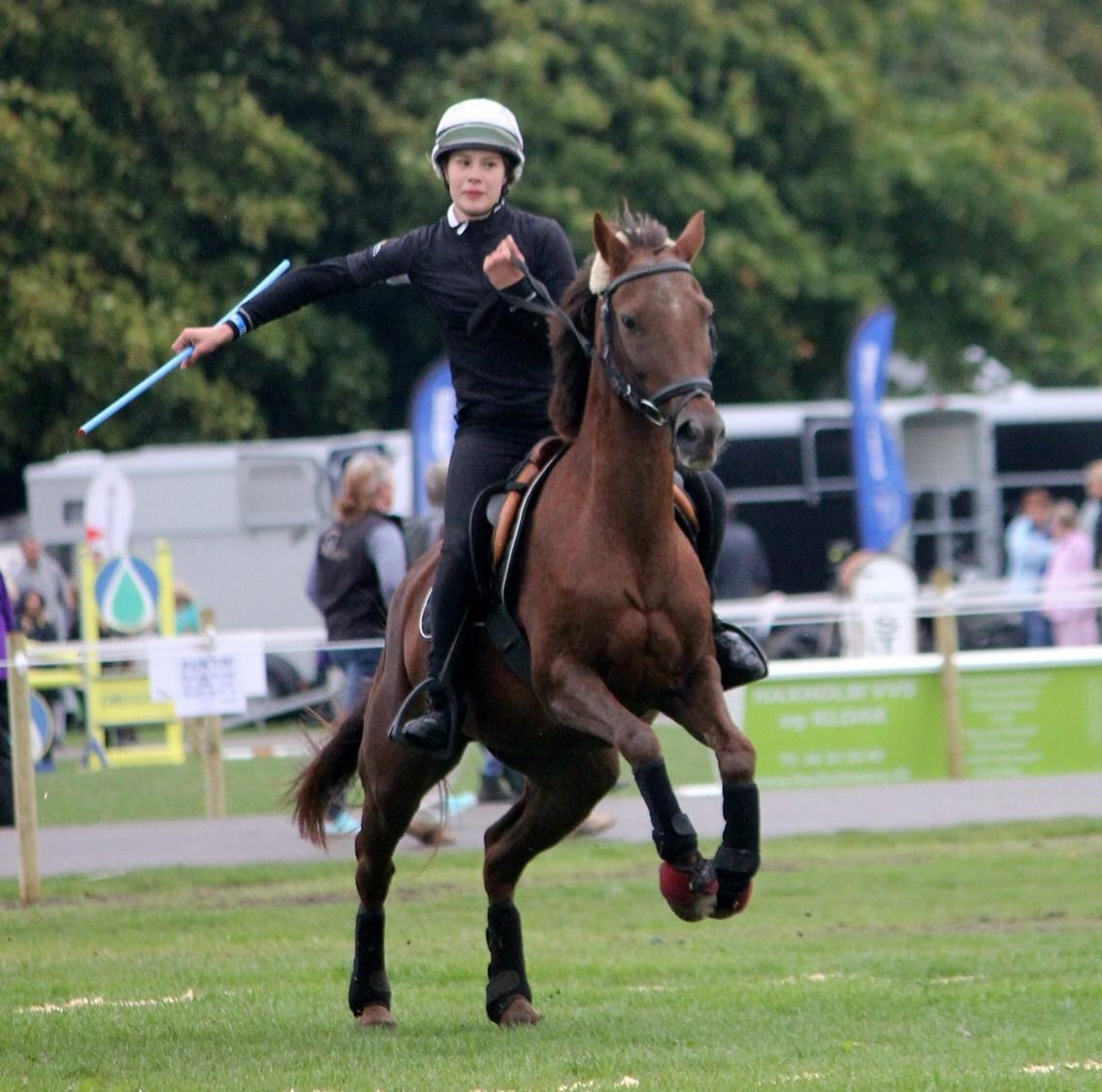 New Forest Jordy<3 billede 3