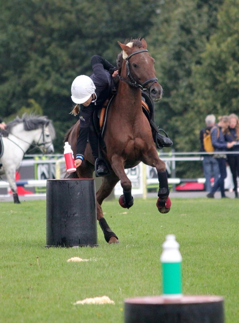 New Forest Jordy<3 billede 6