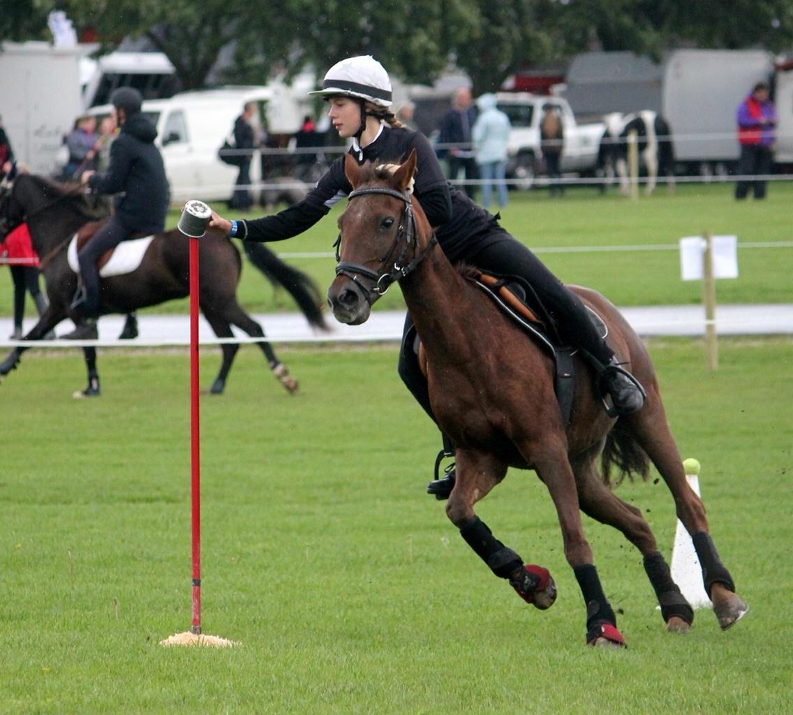 New Forest Jordy<3 billede 7