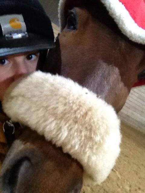 New Forest Jordy<3 billede 9
