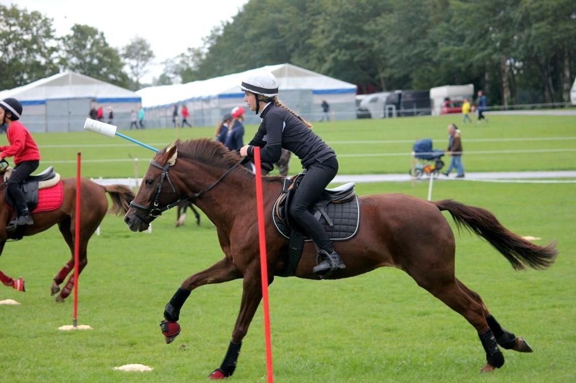 New Forest Jordy<3 billede 12