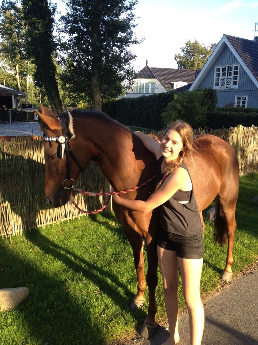 New Forest Jordy<3 billede 18