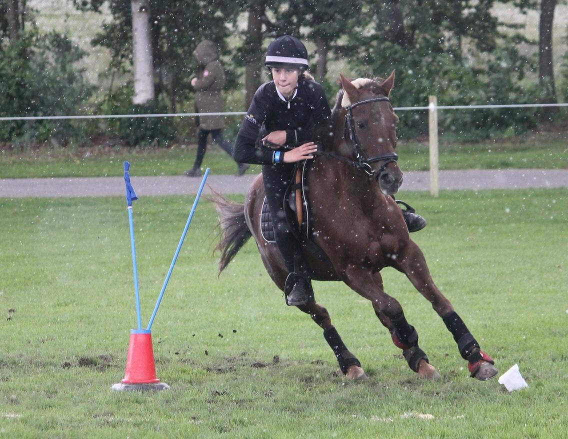 New Forest Jordy<3 billede 19