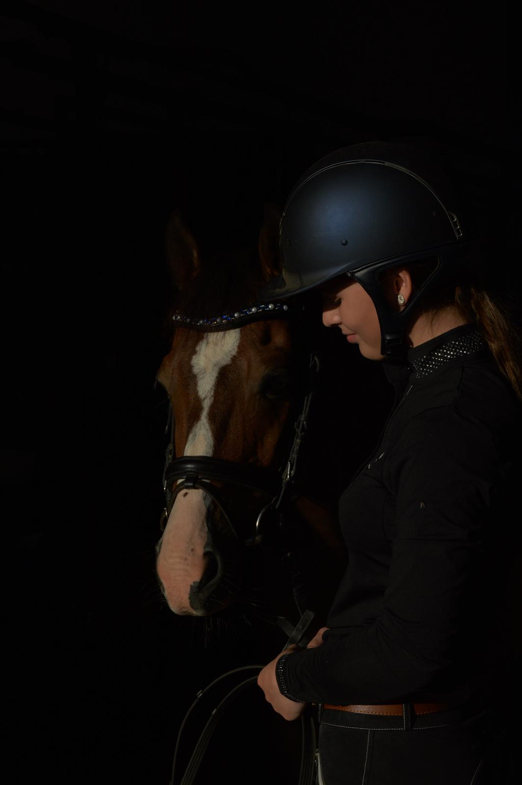 DSP Gondeur billede 2