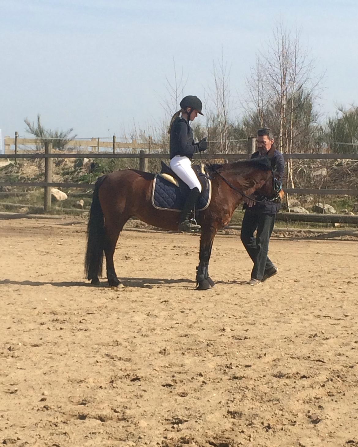 Anden særlig race Zoya billede 12