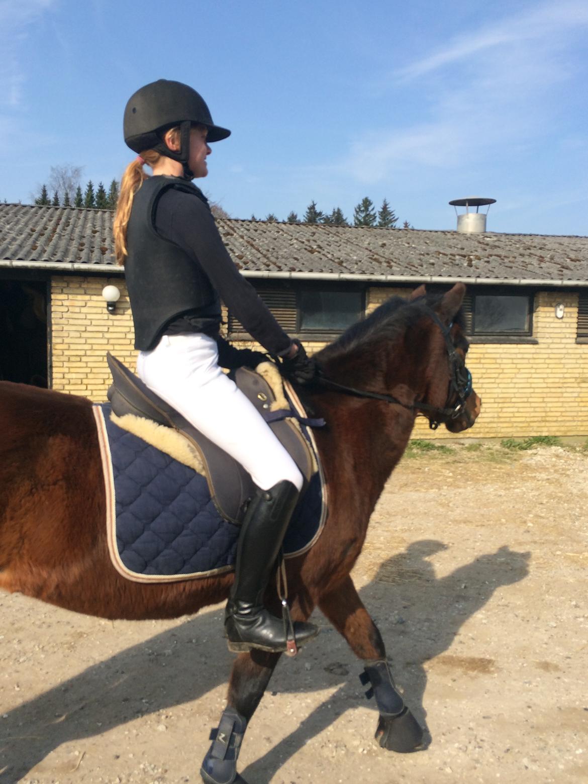 Anden særlig race Zoya billede 13