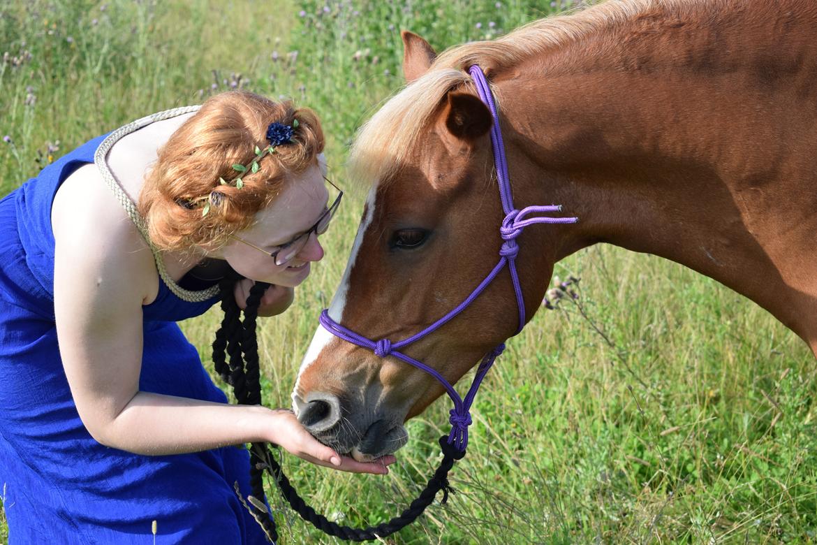 Anden særlig race Miss Dolly (Tamara)  billede 20