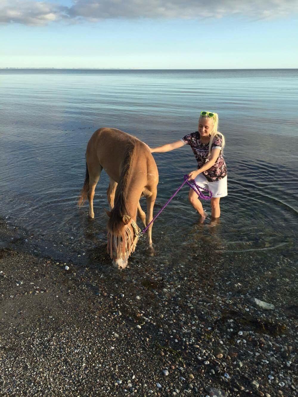 Anden særlig race Scania *AFLIVET* billede 2