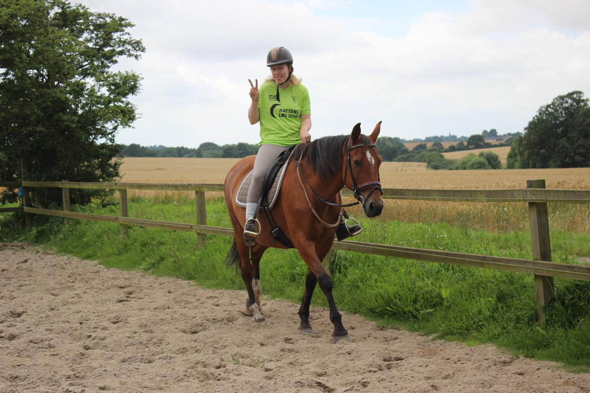 Anden særlig race Bacardi (The Lady <3) billede 9