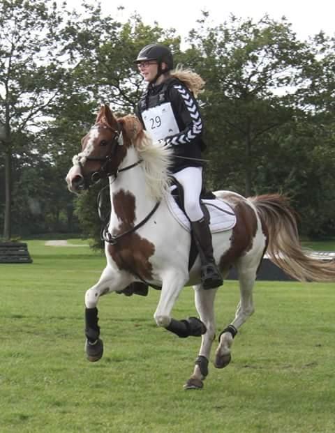 Pinto Sally billede 1