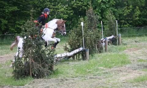 Pinto Sally billede 6