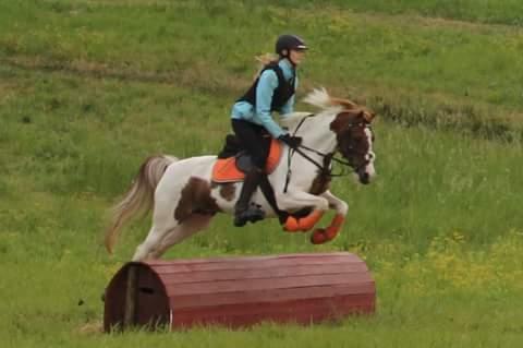 Pinto Sally billede 8